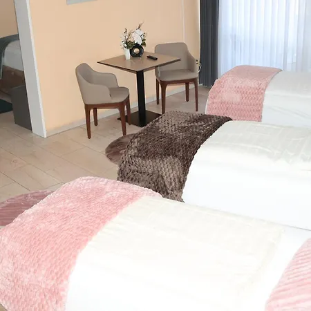 酒店 哈菲兹酒店 巴特萨尔茨乌夫伦