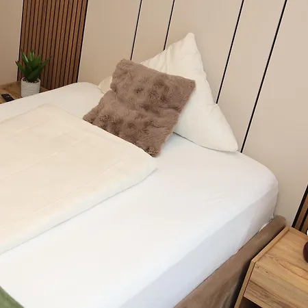 酒店 哈菲兹酒店 巴特萨尔茨乌夫伦