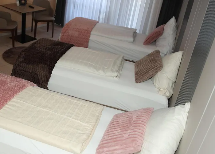 Hotel Hotel Am Asenberg 2*