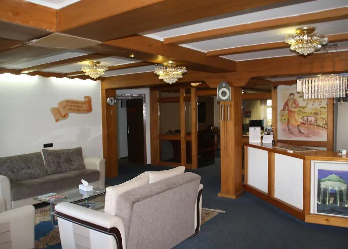 فندق فندق Hafez باد سالزفلن